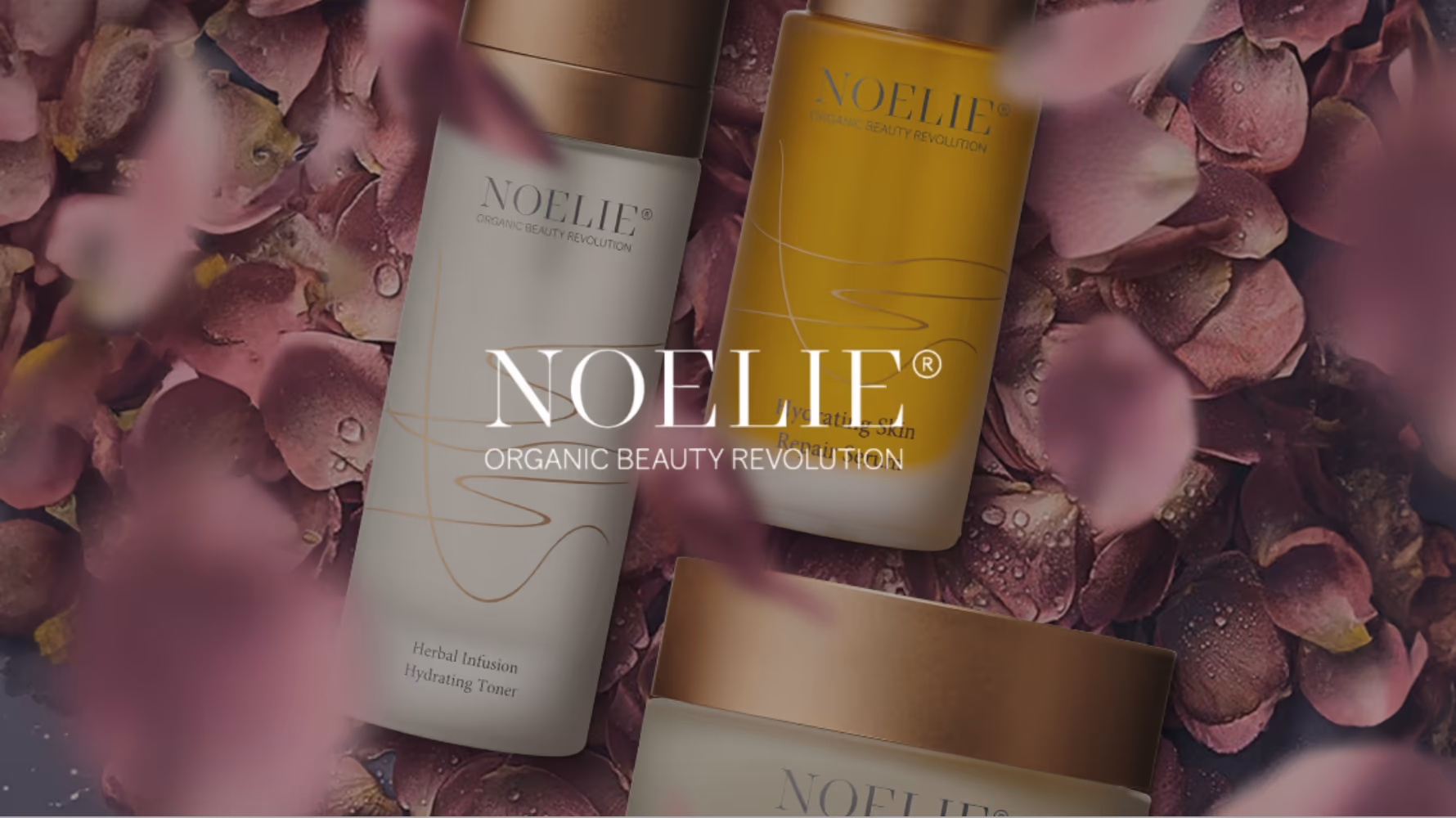 Noelie Beauty-Marke — Social Media Case Study